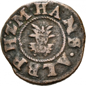 Mecklenburg-Güstrow: Johann Albrecht II.