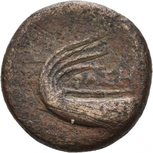 Phaselis