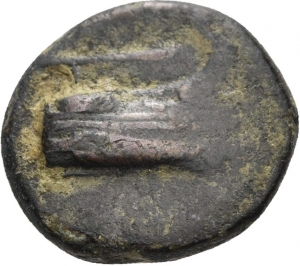 Phaselis