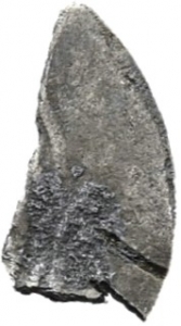 Arabo-Sasaniden
