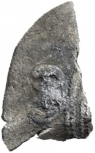 Arabo-Sasaniden