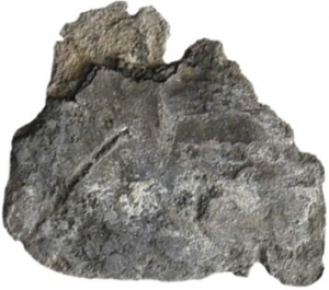 Umayyaden