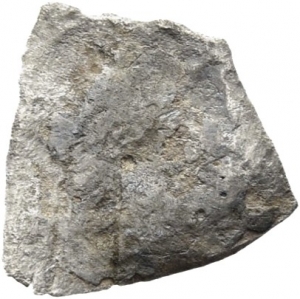 Umayyaden
