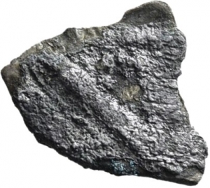 Umayyaden