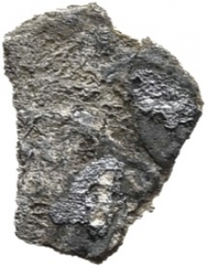 Umayyaden
