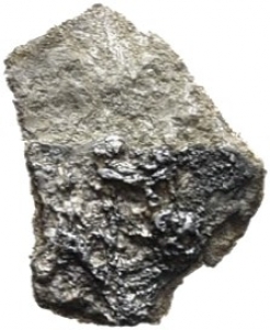 Umayyaden