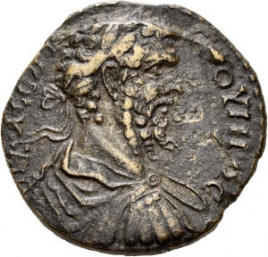 Amaseia