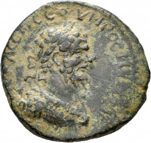 Amaseia