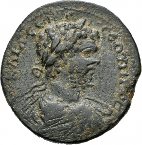 Amaseia