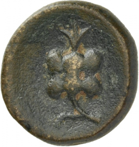 Side