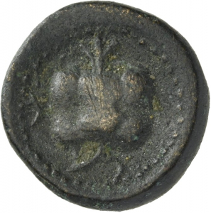 Side