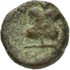Side