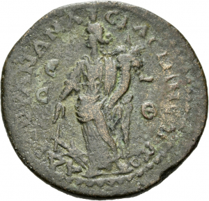 Amaseia