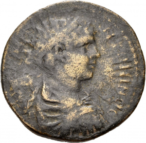 Amaseia