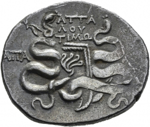 Apameia
