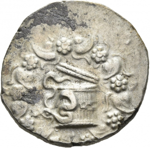 Apameia