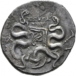 Apameia